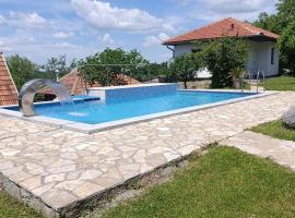 Apartman Petrovic, Hotel in Rudnik