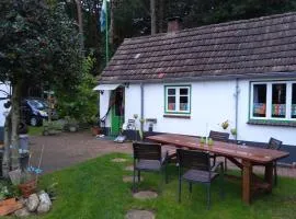 Tiny house im Wingster Forst