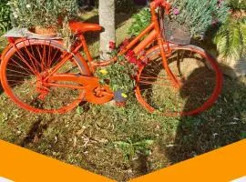 Casa Gialla - Holiday & Business