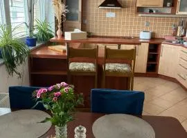 PENZION VLASTA