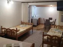 Apartmani Vučević