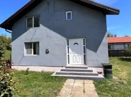 Vlădești house
