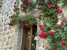 Narek Home Goris