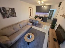 Apartmani Komatina Đenovići 2