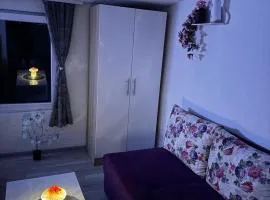 Georgeous lux apartment # 2