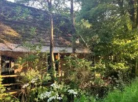 Het Vogelhuisje