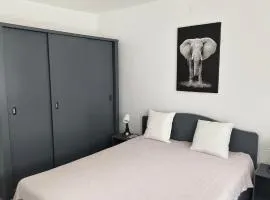 Danube Apartments