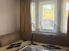 DM Apartman