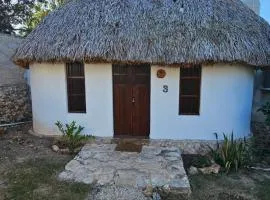 Cabañas Los Gallitos Ecolodge 3