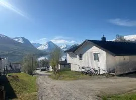 Spectacular Fjord Views 20 Min from Tromsø & Mountain Trails