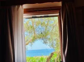 Gradakia Cottages 2