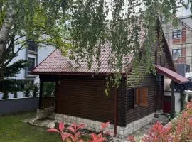 Vila Rosa Kolasin