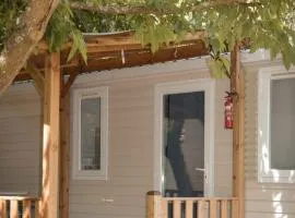 Mobil-home accueillant animaux - 4 pers. - API-1-52-2417