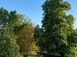 Poleskie zacisze, domek Bocian, kominek, balia,sauna,wifi