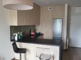 Apartament Śródmieście