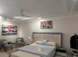 Luxury 1BHK studio site parking self check-in