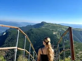 Complex de pensiuni si casute la munte Bistricioara
