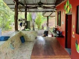 Dolphin Quest Apartment #1