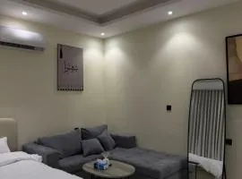 أستديو انيق وبدخول ذكي حطين 1
