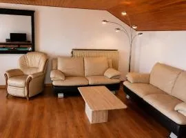 Ardennes Escape House for 12 people with sauna, billiards & garden