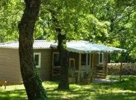 Mobil-home, animaux admis - 5 pers. - API-1-52-2860