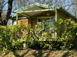 Chalet accueillant avec animaux - 2 pers. - API-1-52-2857