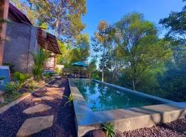 AVYANA sanctuary