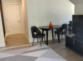 Cozy Modern Guest Suite with Private Entrance