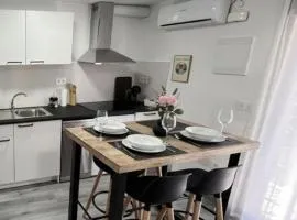 Apartamentos El Savio