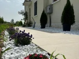 Vigne Del Garda