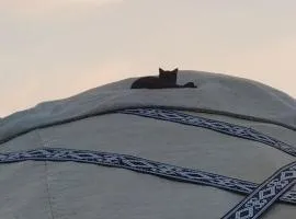 Yurt guesthouse