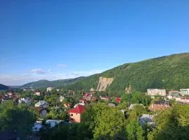 У Миколайчуків