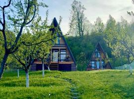 Căsuțele EliMar, hotell sihtkohas Chirleşti