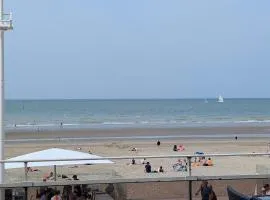 Appt GRANDE Terrasse VUE MER 6 à 8 personnes