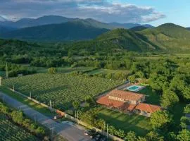 Chubini Winery & Cabins