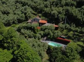 Tuscan house, exclusive pool, private garden