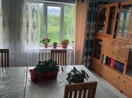 Guest House Altyn Balyk