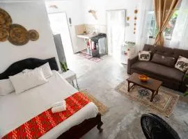 watchRasta Studio, Culture, Beaches & Airport