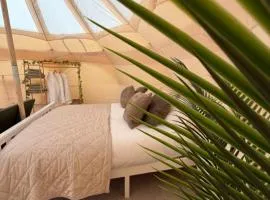 Dan Y Ser Stargazer tent with Hot tub