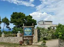 Agriturismo Millepini