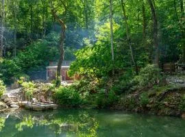 Tiny Fox Pond side Retreat with Forest Views