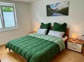 Ferienwohnung Bodenseeblick
