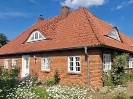 Urlaub mit Hund - freie Zeiten im Sommer