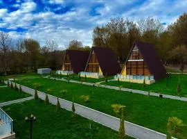Topchu Forest Ismayilli