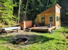 Moss Haven on Hood Canal