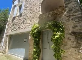 Le vieux figuier
