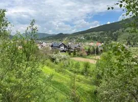 Pensiunea Casa Elvira