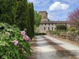 Gîte Du Château De Curton