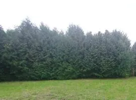 Korczyna