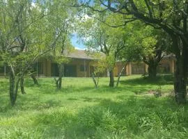 Dinokeng Backpackers
